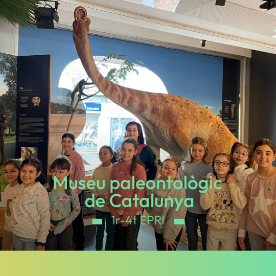 Museu paleontològic de Catalunya