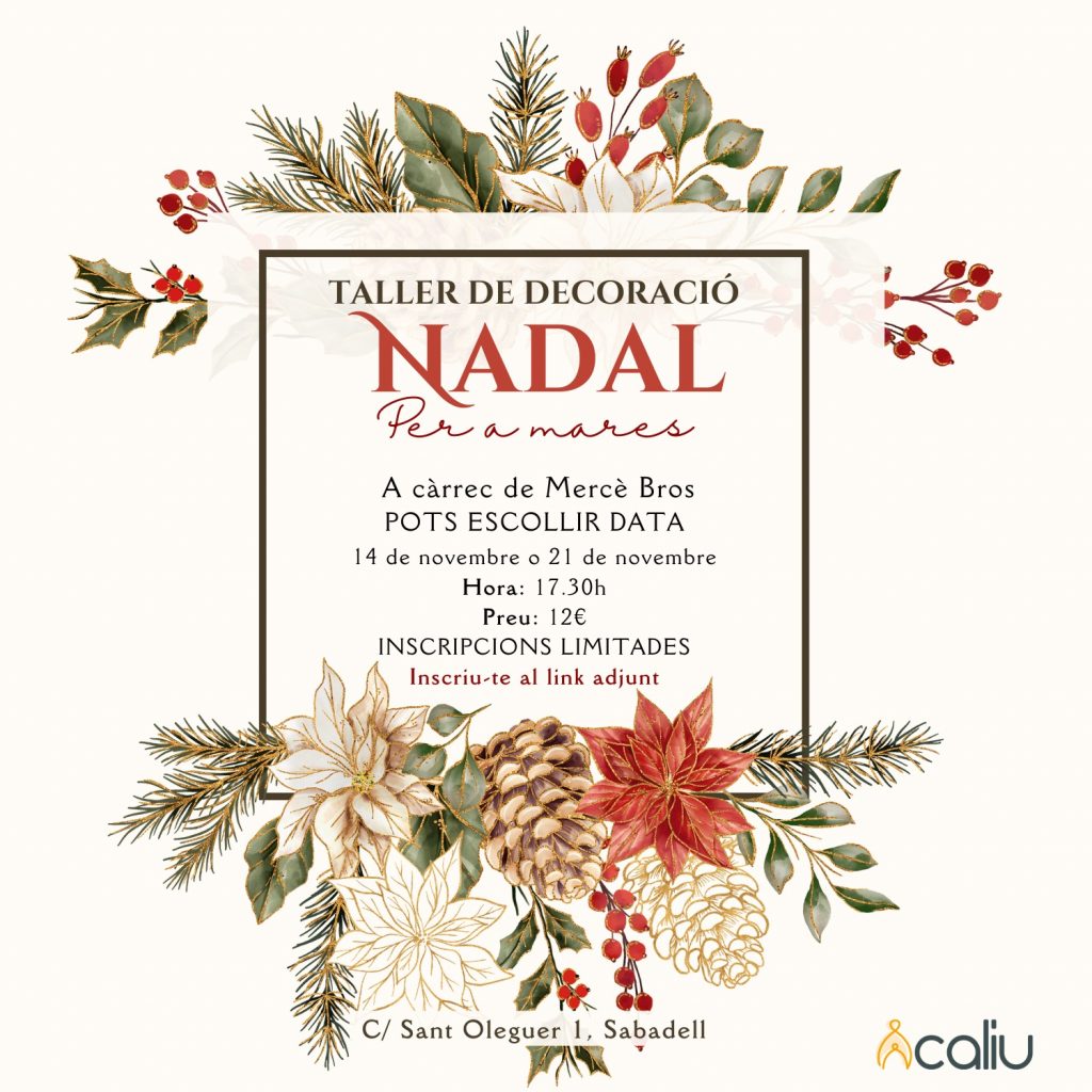 Activitat de Nadal 2025