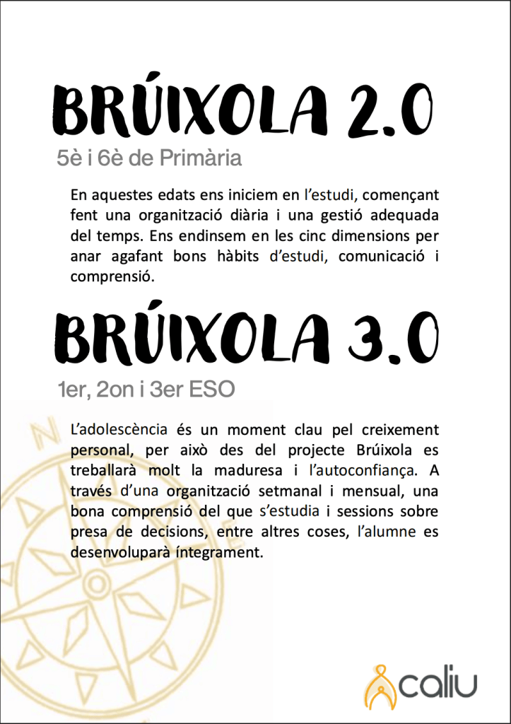 Projecte Bruixola